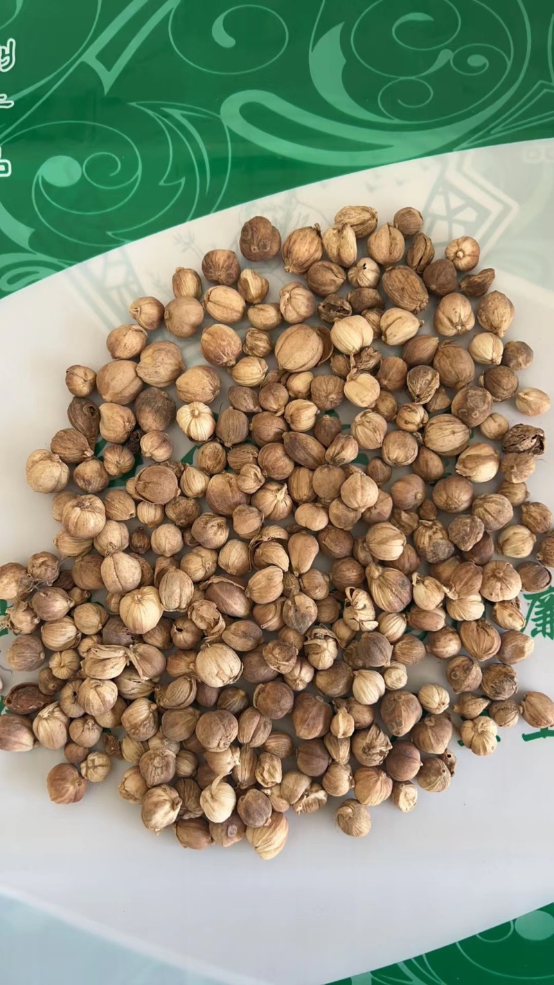 白豆蔻规格齐全批发零售