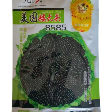 美国矮大头油葵种子8585出油率高高油向日葵种子