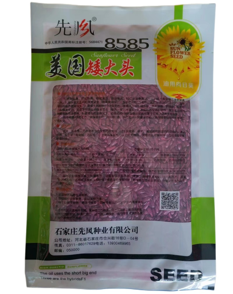 美国矮大头油葵种子8585出油率高高油向日葵种子