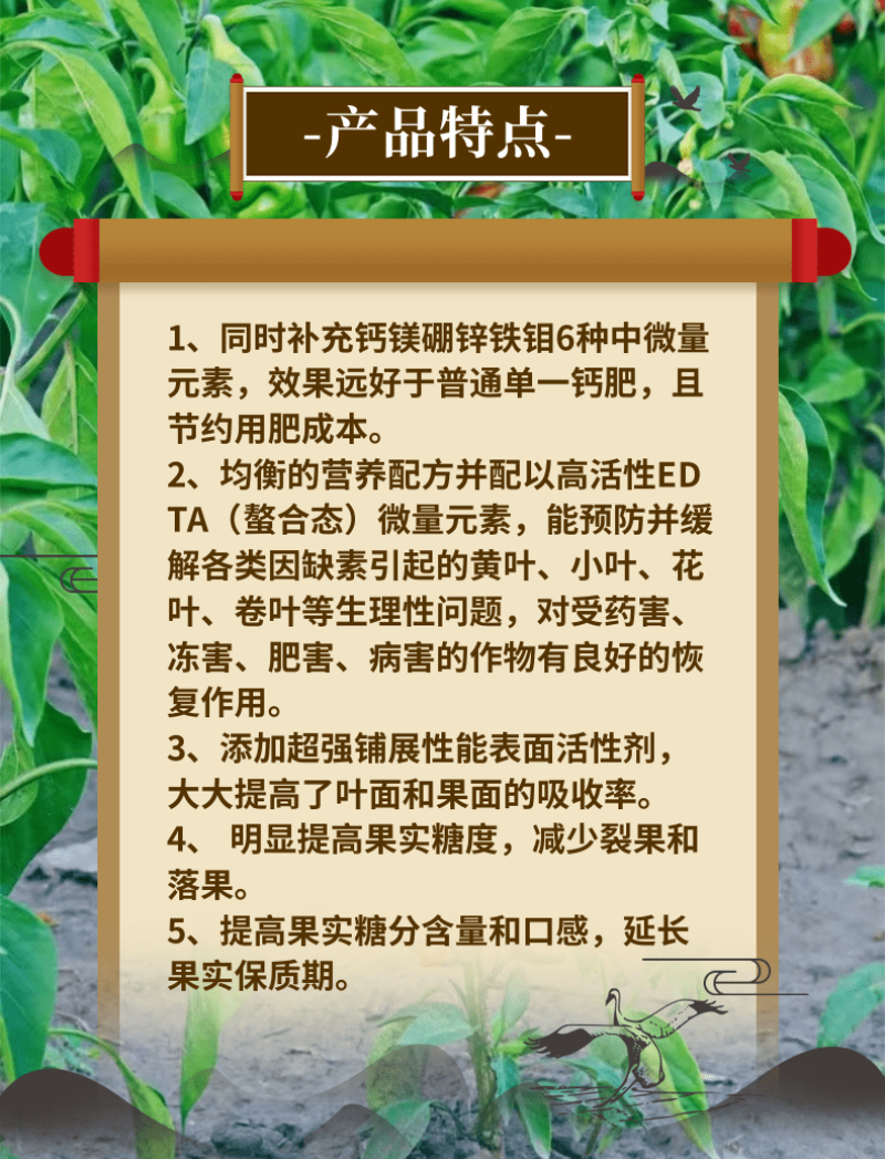 钙镁硼锌铁钼防裂果畸形吸收快叶绿素增产抗逆叶面肥