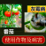 35%异菌腐霉利灰霉病专用杀菌剂禾宜正品