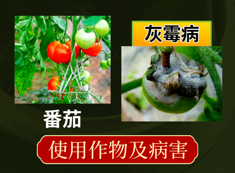 35%异菌腐霉利灰霉病专用杀菌剂禾宜正品
