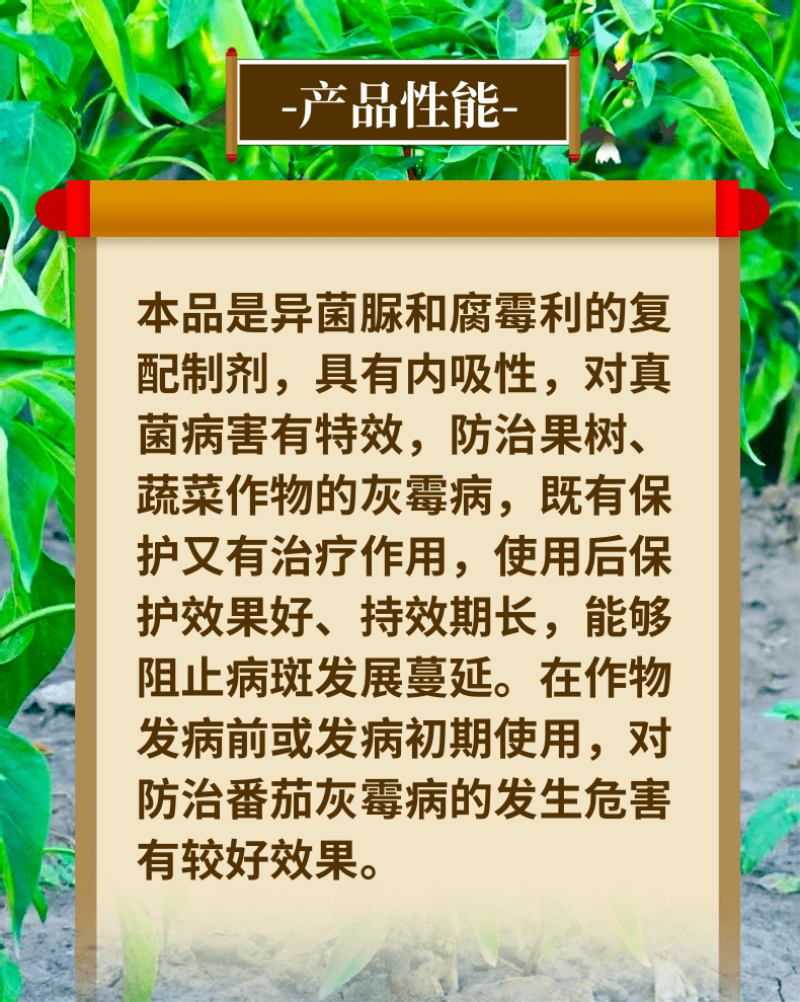 35%异菌腐霉利灰霉病专用杀菌剂禾宜正品