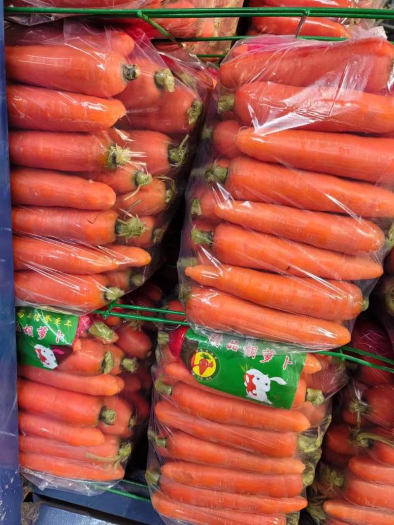厦门胡萝卜三红胡萝卜产地直发品质好专业代收代发价格优惠