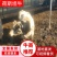 活牛荷斯坦公牛活牛基地现货资质齐全欢迎电