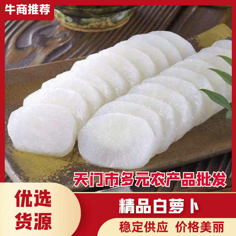 沙洋三排四排精品白萝卜质量优价格合理供应充足可发全国