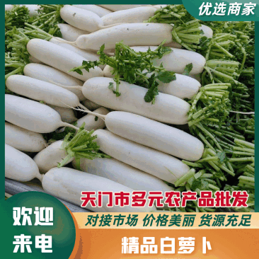 【荐】沙洋白萝卜精品小白萝卜鲜嫩精致好吃精品通货均有