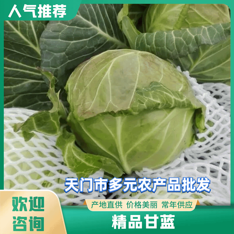 【热卖中】天门旺旺甘蓝1~公斤精品价格优惠欢迎咨询