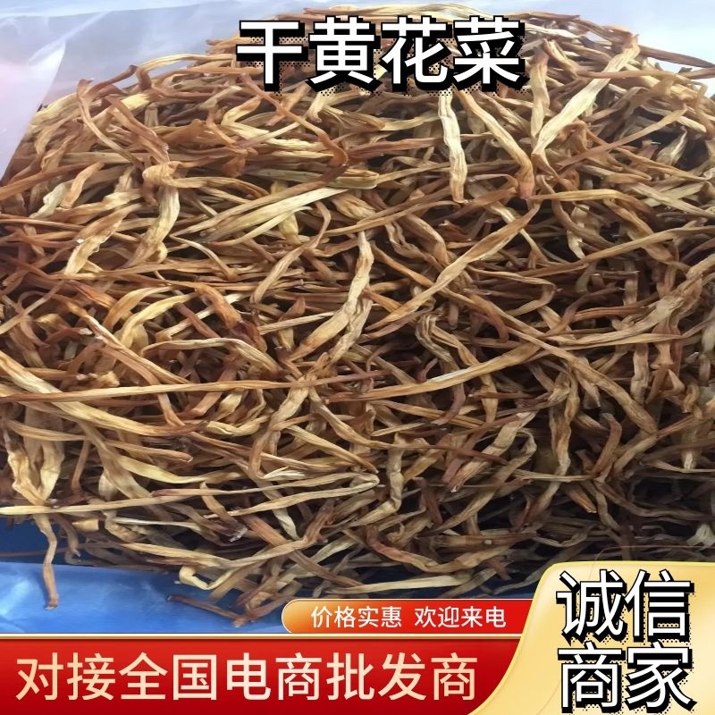 【热卖】优质供货电商，黄花菜，广东东莞，货源充足，价优