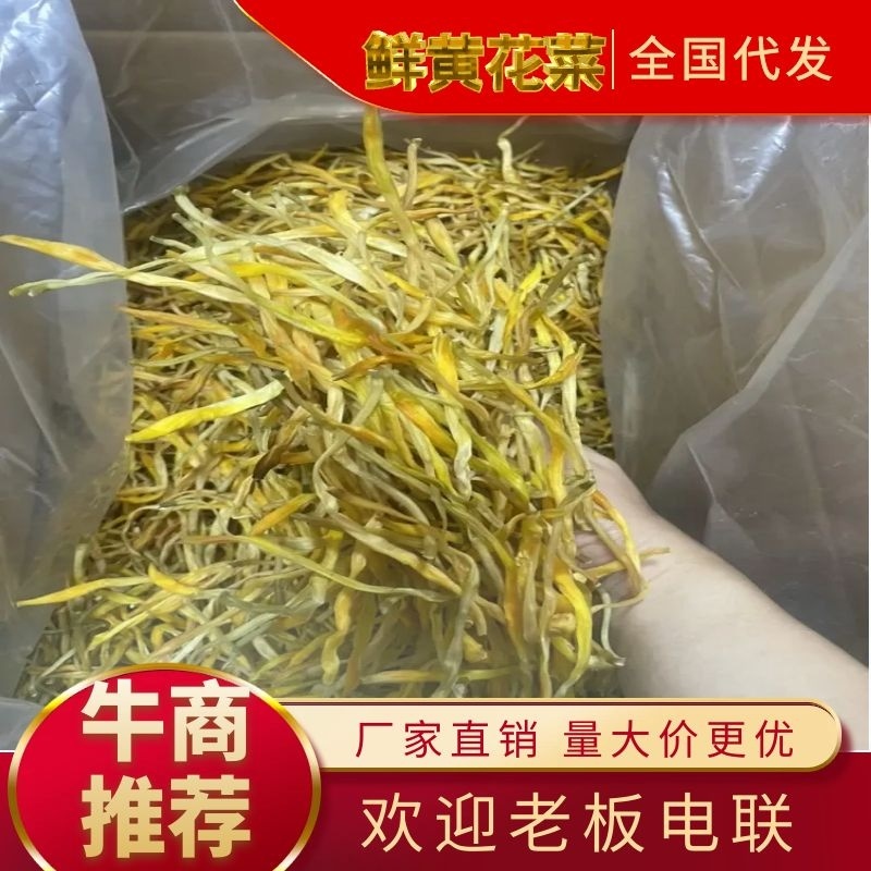 【推荐】优质供货电商，黄花菜，广东东莞，货源充足一件代发