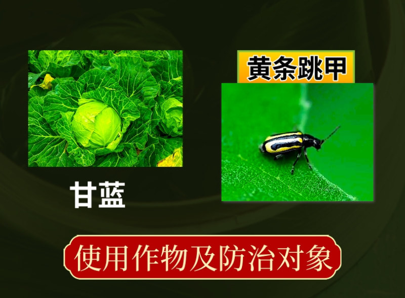 1%联苯噻虫胺跳甲地蛆等地下害虫害虫杀虫剂