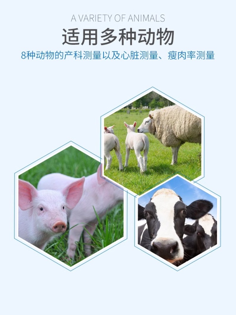 兽用b超机母猪用b超机羊牛用B超彩超高清便携检孕仪测