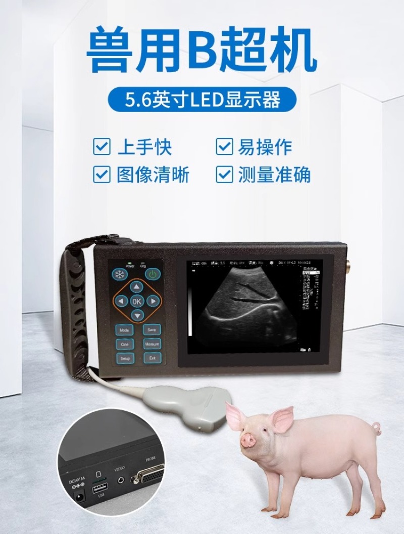 兽用b超机母猪用b超机羊牛用B超彩超高清便携检孕仪测