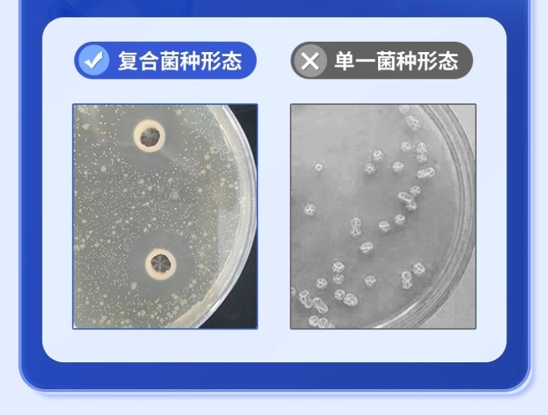 养殖em菌种水产原液种植原露饲料猪牛羊鸡粪有机肥发酵剂原