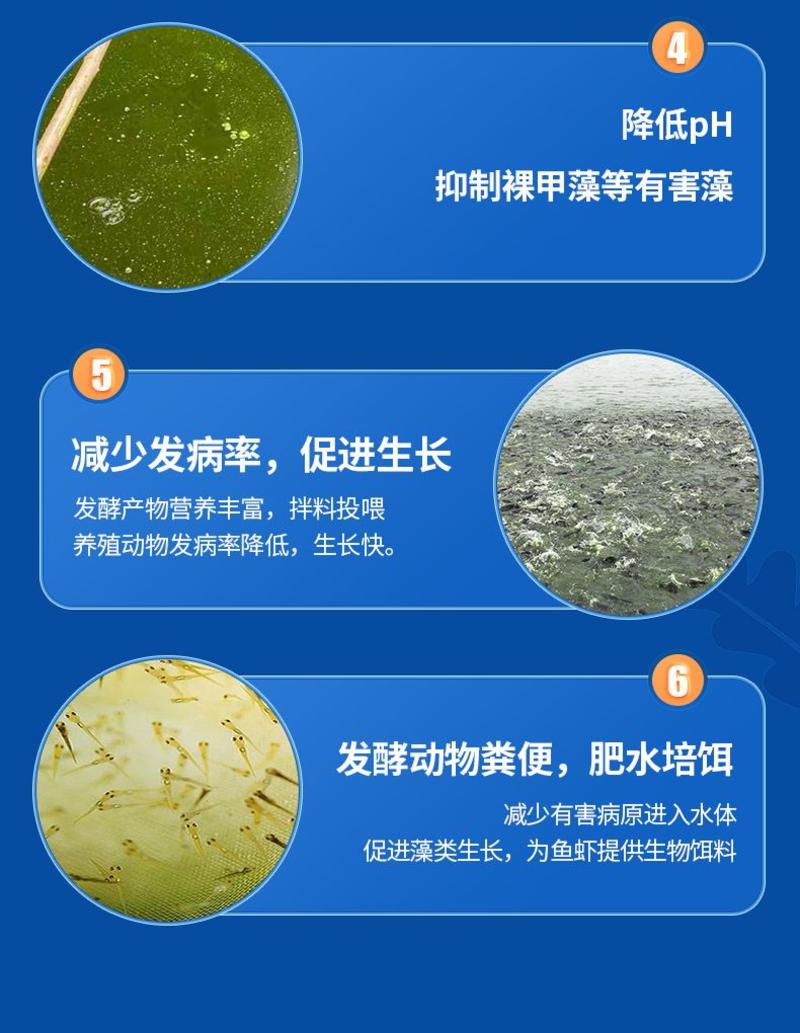 EM菌浓缩粉枯草芽孢杆菌水产养殖鱼虾改底调水肥水乳酸菌菌