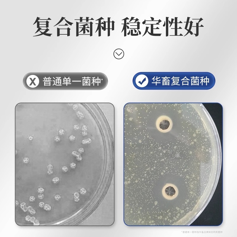 活菌em菌种养殖专用兽用益生菌调水水产鱼虾蟹用em菌