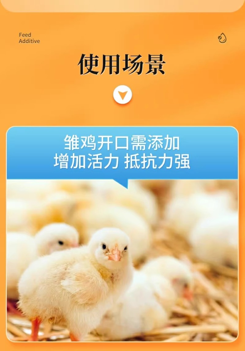 氨基酸多维葡萄糖粉畜禽猪牛羊抗应激养殖鸡鸭鹅饲料添加剂