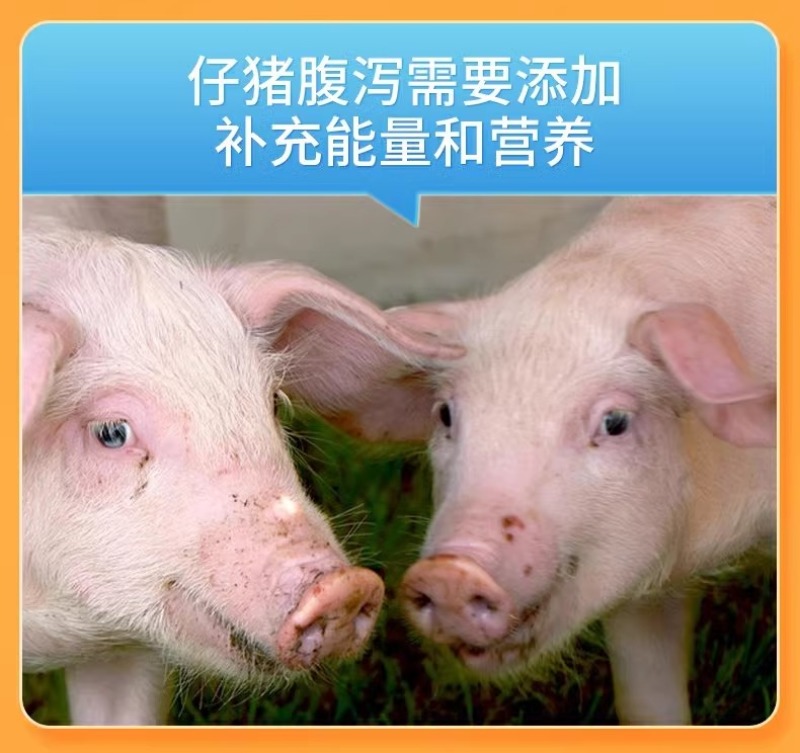 氨基酸多维葡萄糖粉畜禽猪牛羊抗应激养殖鸡鸭鹅饲料添加剂