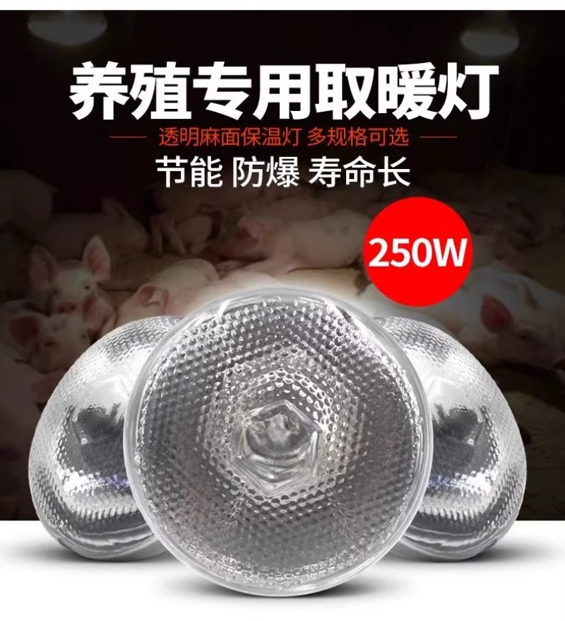 猪用保温灯加热养殖场专用小鸡育雏取暖保暖灯泡仔猪兽用烤灯