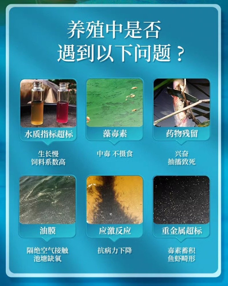 碧水安有机酸碧水灵小龙虾鱼塘调水净水水产