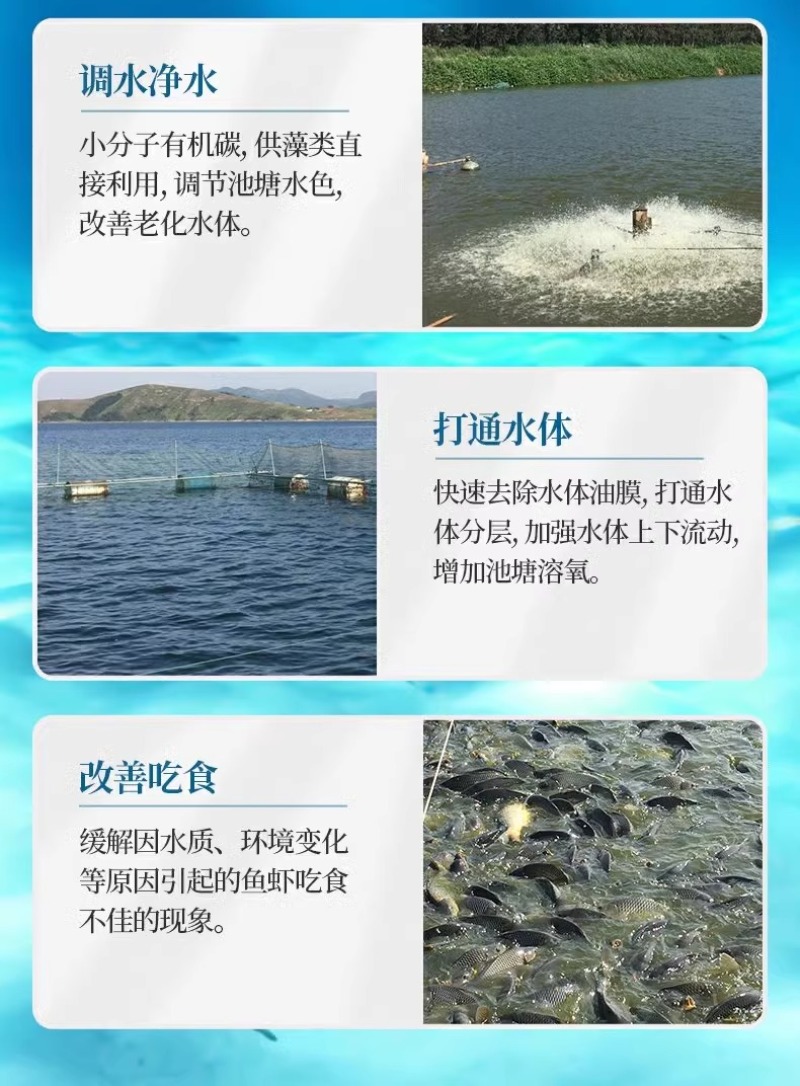 碧水安有机酸碧水灵小龙虾鱼塘调水净水水产