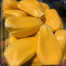 泰国红肉8号菠萝蜜，海南菠萝蜜大量有货欢迎来电咨询