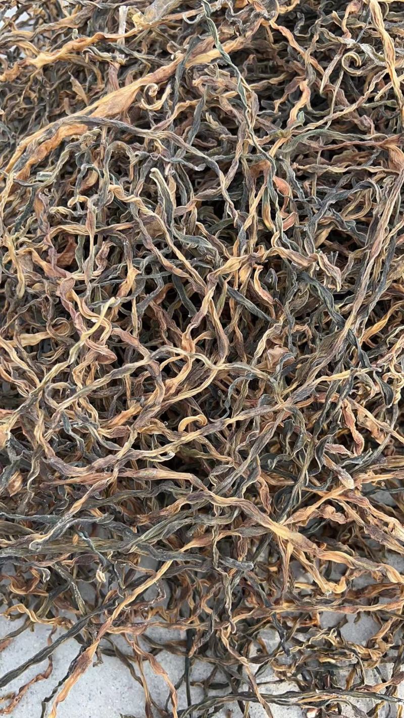 电商豆角，精品绿条，精品晒条，乱条，好中差豆角