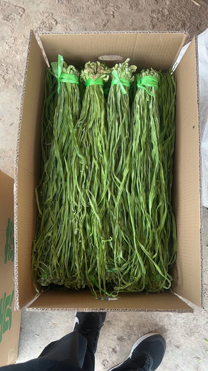 特级贡菜新货大量上市品质保证欢迎新老顾客进店选购