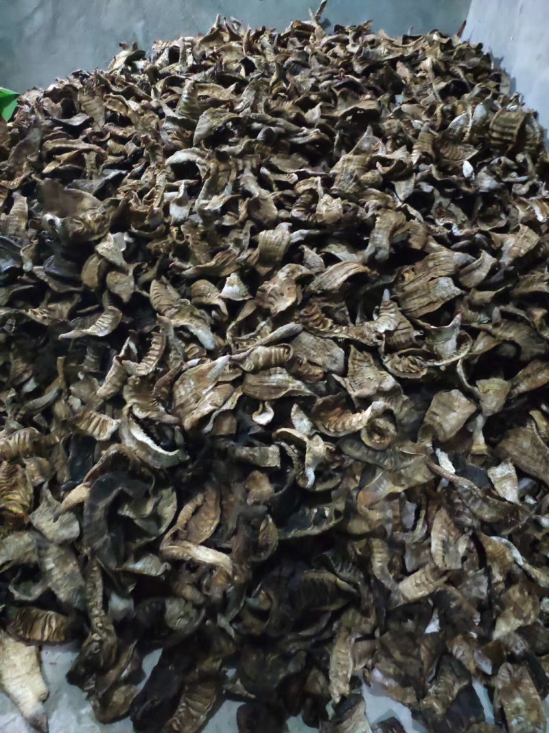 【优选好货】笋干无杂质可视频看货全国包邮精品品质量大
