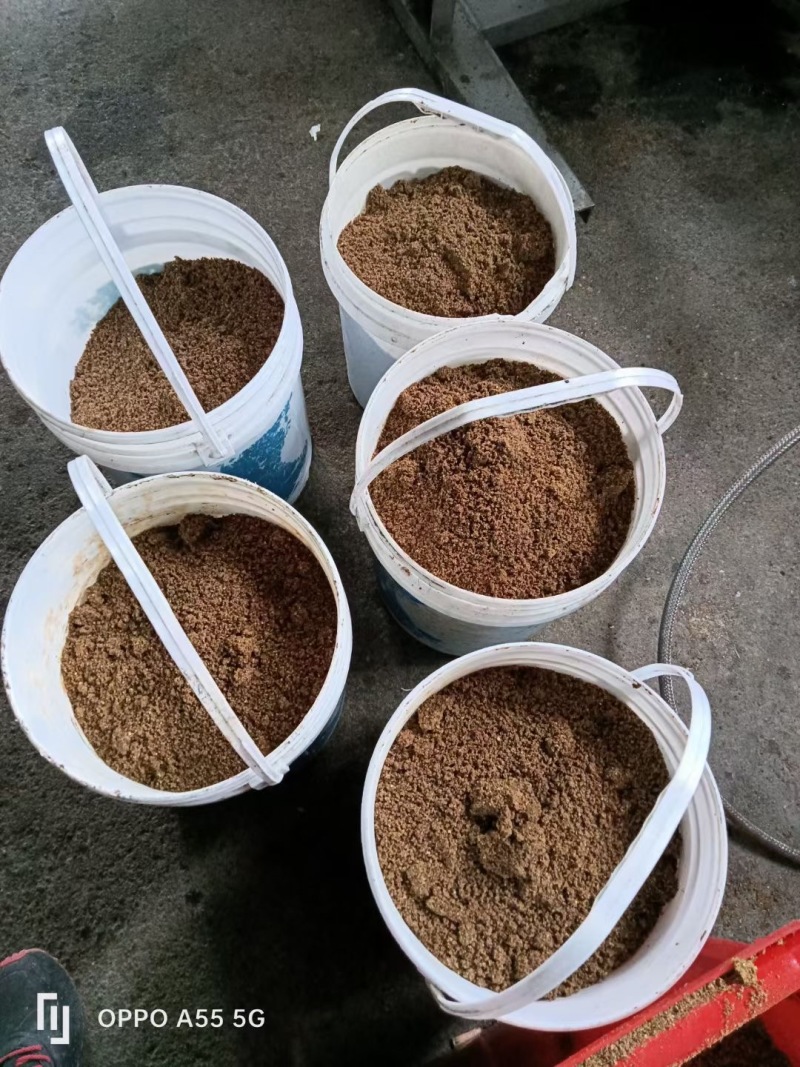 【实力热卖】小种山茶油高山茶籽油可视频看货诚信经营
