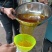 【优选】精品小种山茶油高山茶籽油可一件代发可批发