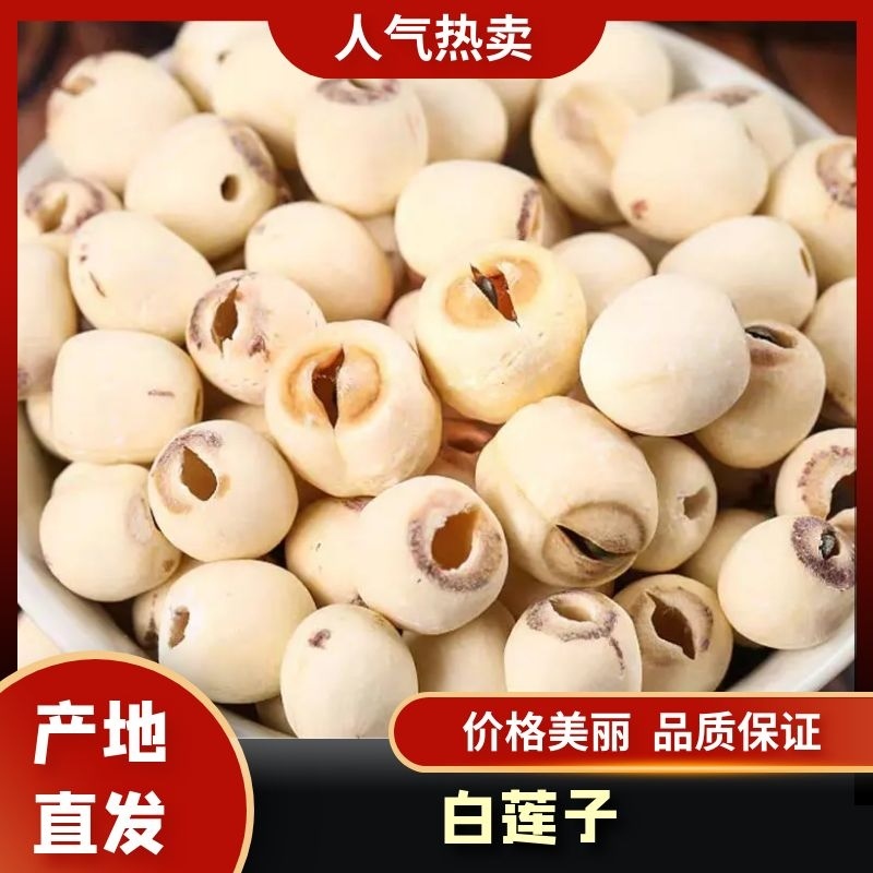 白莲子大量供应香糯可口糖水煲汤质量保证量大价优