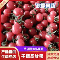 【圣女果】精品千禧贝贝黄果串果，品种齐全，全国发货