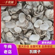 干货水洗瓦楞子，南海北部湾血蚶壳，免费寄样