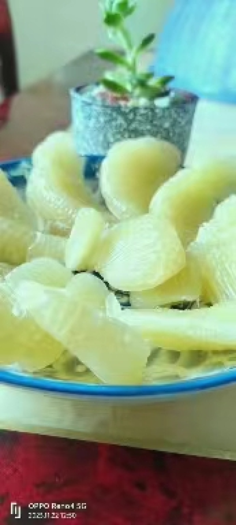 【推荐】四川真龙柚量大从优基地直发保质保量规格齐全
