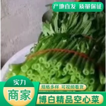 空心菜广西种植基地供货，量大从优长期供应欢迎电联采购