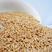 国产裸燕麦，大量有货，品质保证，欢迎大家来电联系
