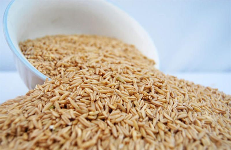 国产裸燕麦，大量有货，品质保证，欢迎大家来电联系