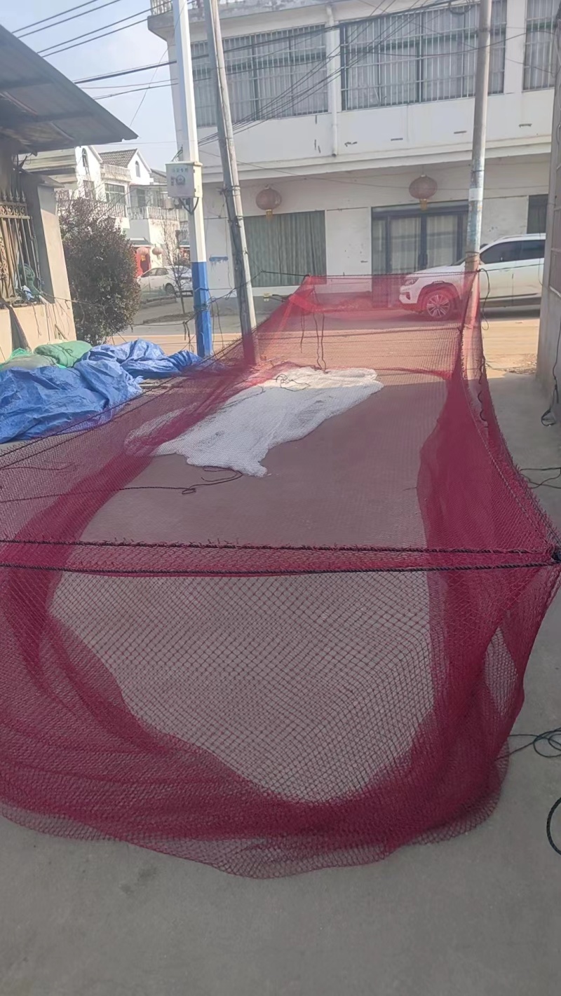 尼龙不伤鱼网箱养鱼网箱存鱼网箱抬网，欢迎老板选购