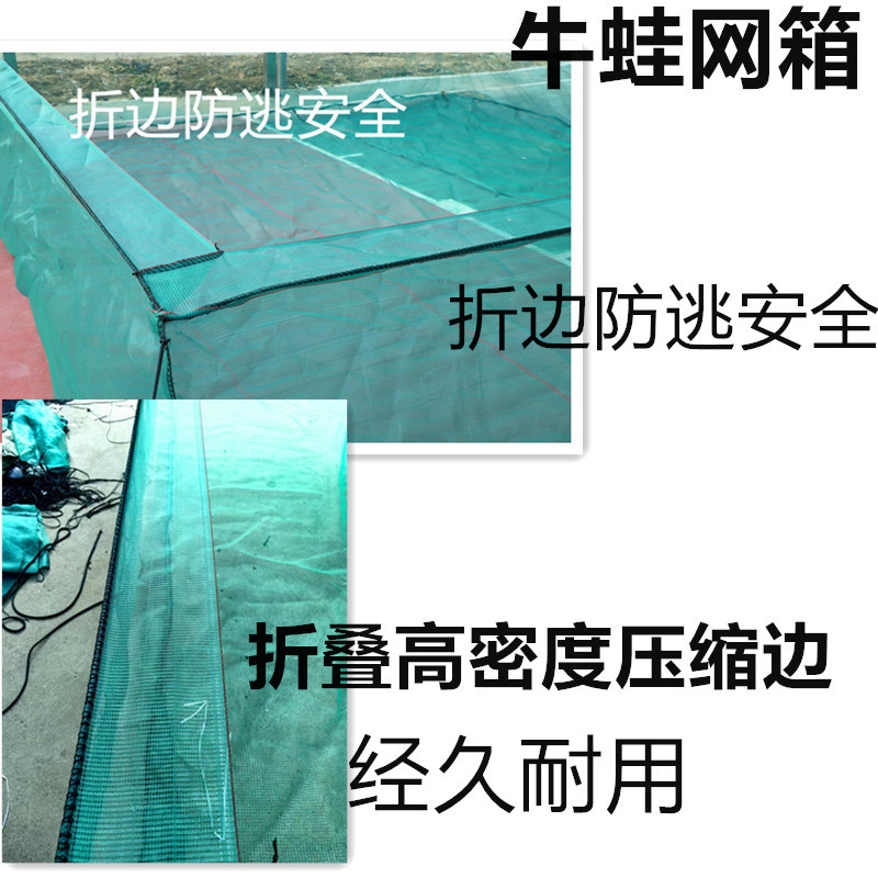【牛蛙网箱】牛蛙折边防逃网箱蝌蚪网箱小四脚网箱