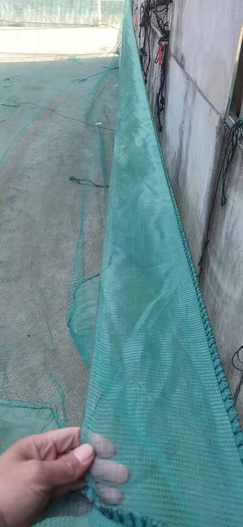 【牛蛙网箱】牛蛙折边防逃网箱蝌蚪网箱小四脚网箱