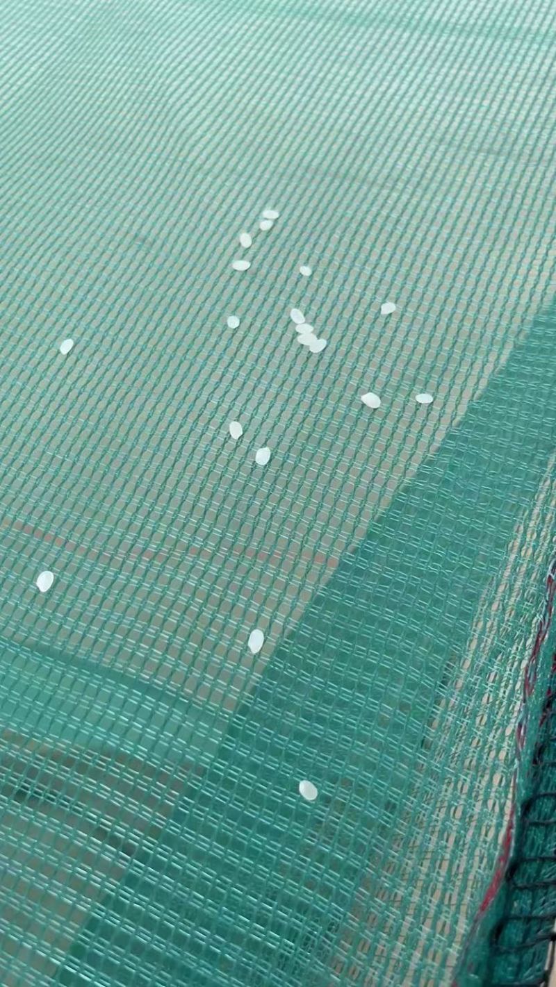 【牛蛙网箱】牛蛙折边防逃网箱蝌蚪网箱小四脚网箱