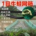 【牛蛙网箱】牛蛙折边防逃网箱蝌蚪网箱小四脚网箱