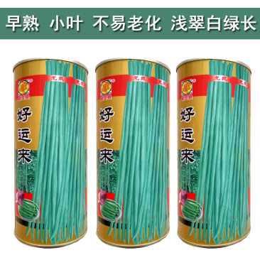 好运来小叶长豆角种子豇豆无筋长条顺直结荚多翠绿色