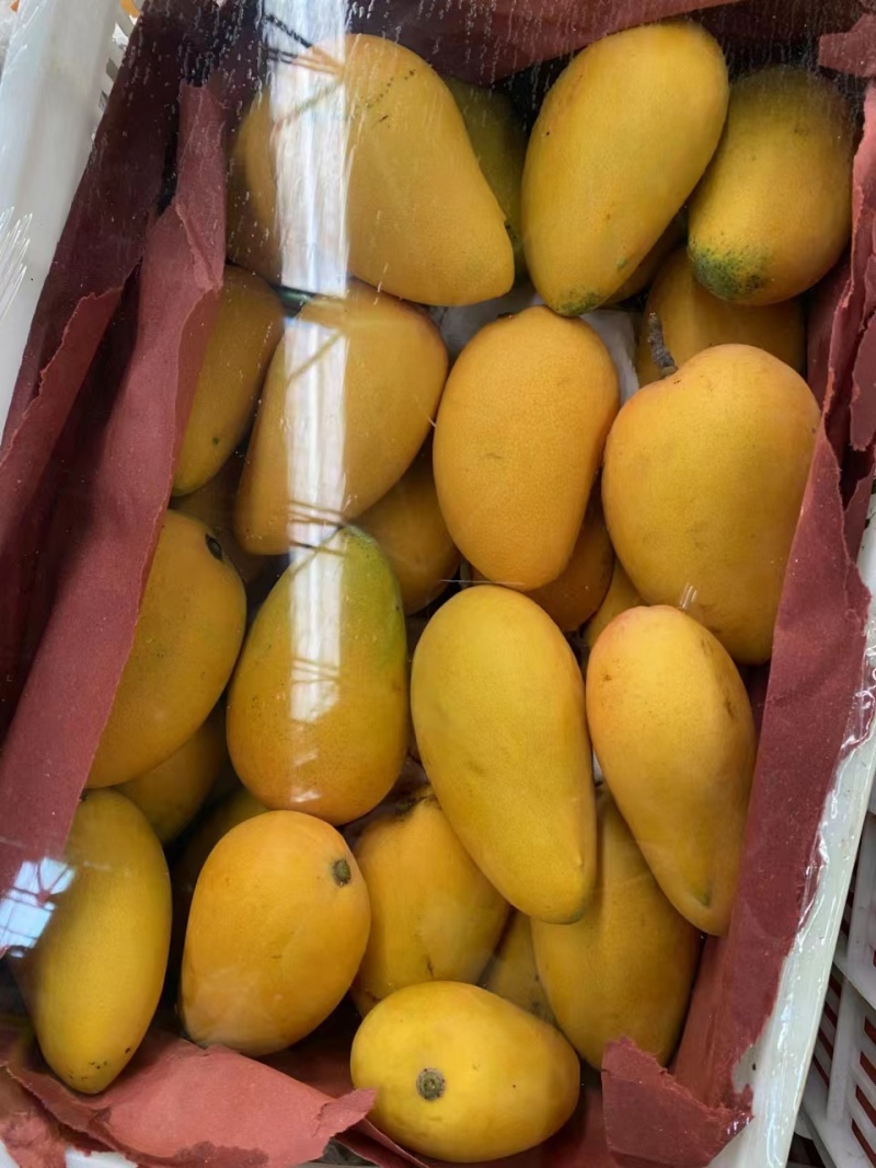 产地直发精品海南小台芒一手货源价格优惠可视频看货欢迎咨询