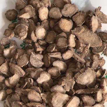 川牛膝规格齐全批发零售