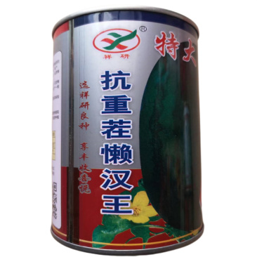 特大抗重茬濑汉西瓜种子高产大西瓜种子四季抗病抗重茬皮