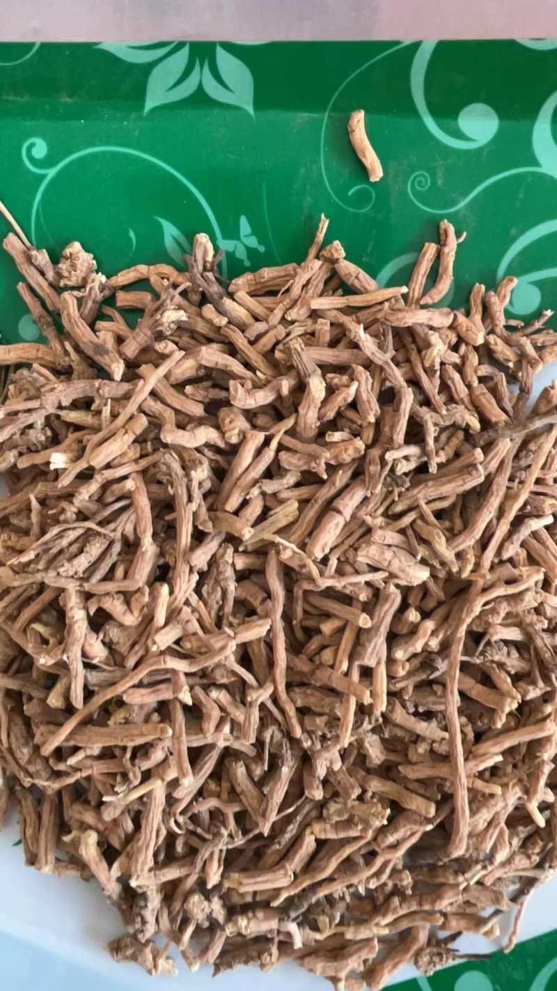 远志规格齐全批发零售