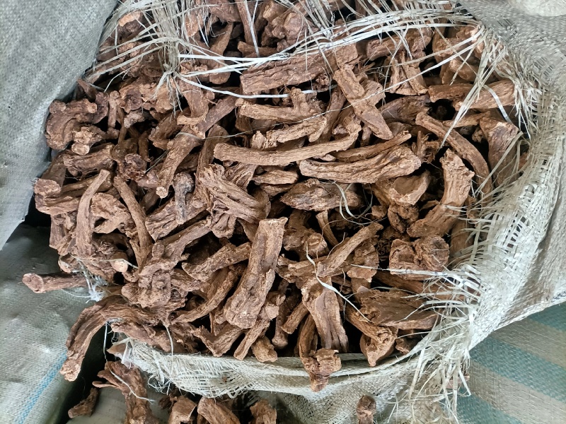 陕西【木香】质量保证优质货源货源充足欢迎联系