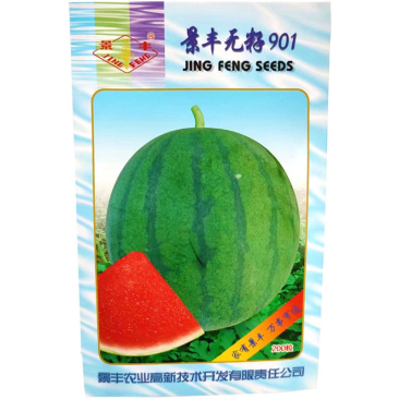 景丰无籽902黑皮西瓜种子高糖抗病高产杂交椭圆型露地大棚